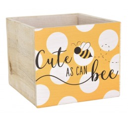 Wooden Cube - 'Cute As Can bee'